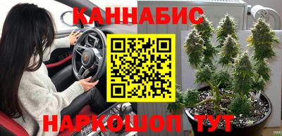 jwh Кандалакша