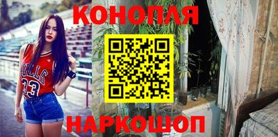 амф Камышлов