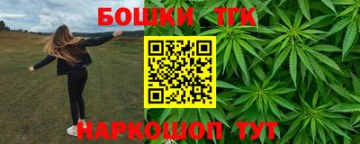 амф Камышлов
