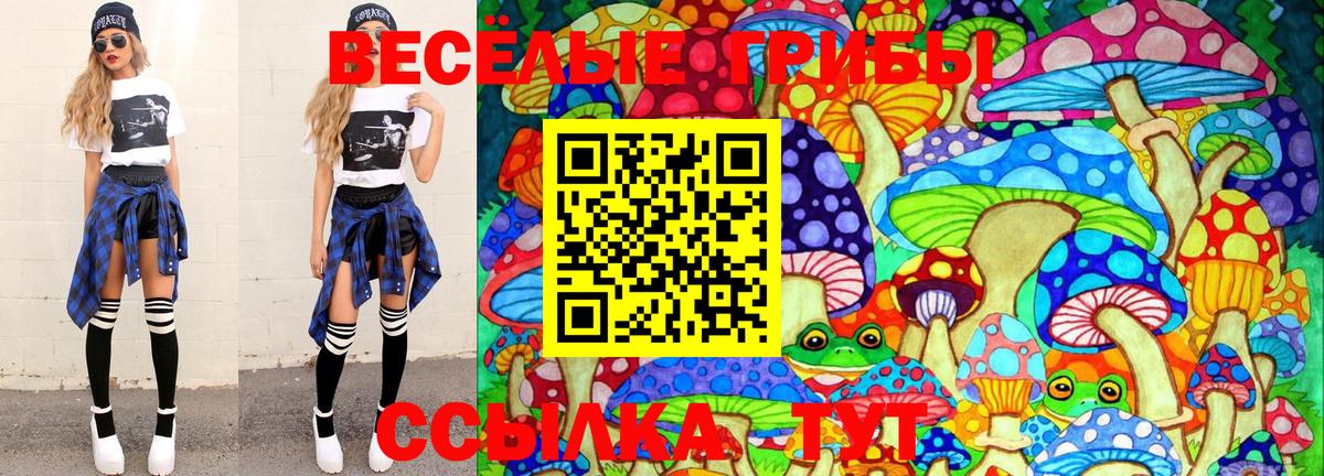 Галлюциногенные грибы GOLDEN TEACHER Котлас